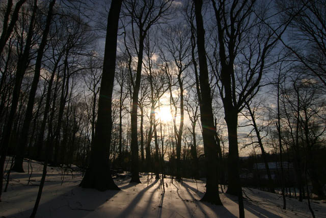 Into the Light