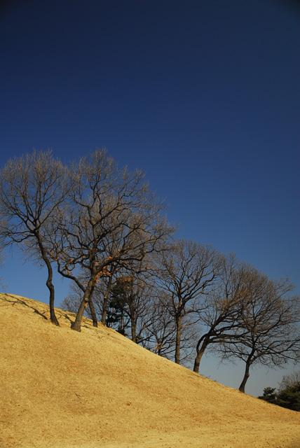 brown and blue