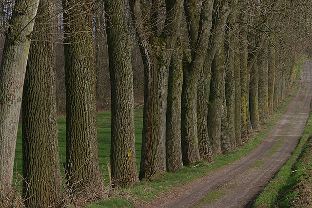 Following the path