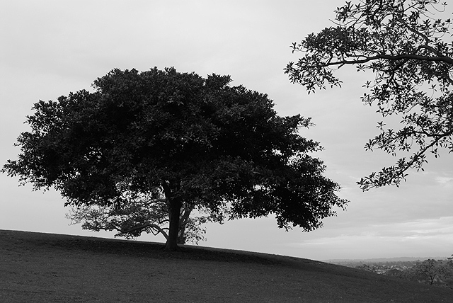 On a Hill