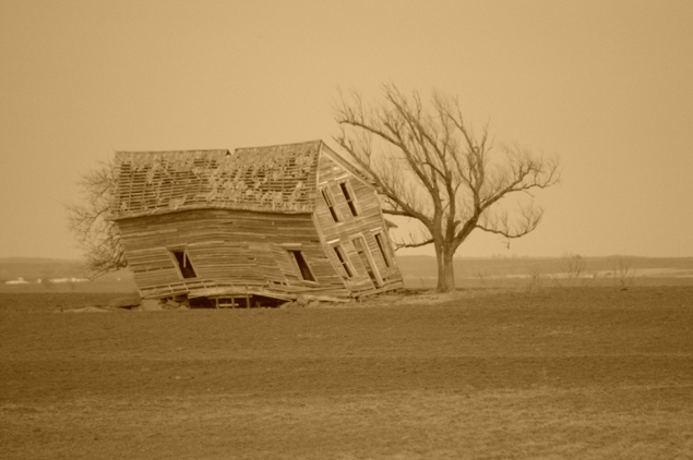 Tree House