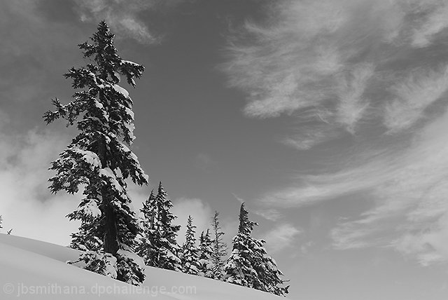 After the Storm