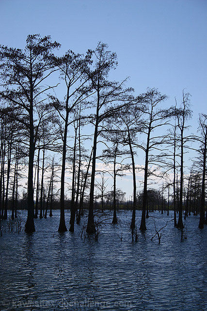 Living in the Lake