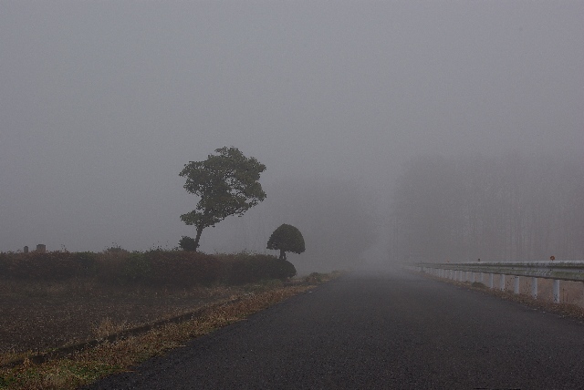 A Foggy Morning