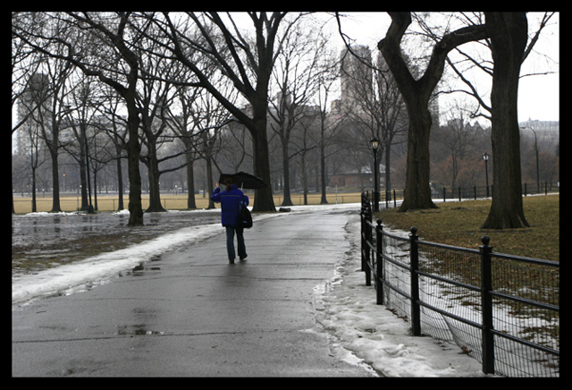 Rainy Winter Day in Central Park