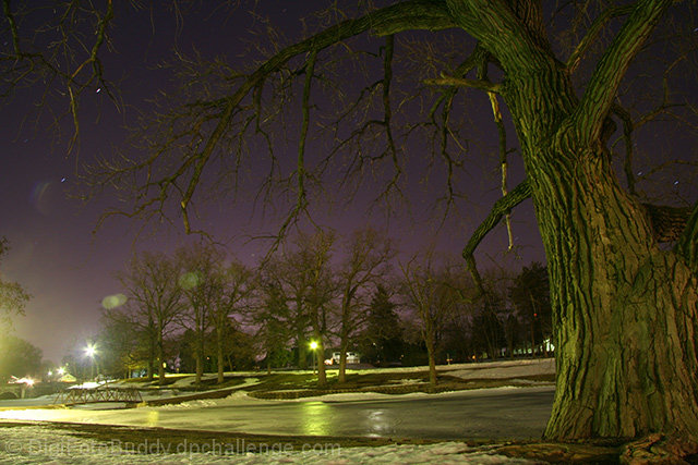 Park at Midnight