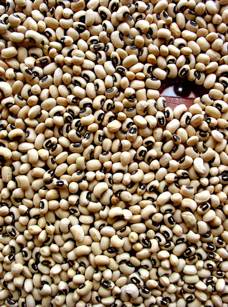 blackEYE peas