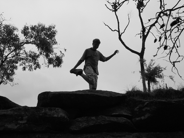 Hill of Many Trees