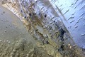 Golden Ice