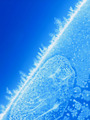 Ice crystals under the microscope (10X objective)