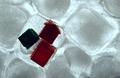 Frozen Assets