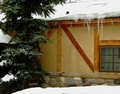 Icicles and Evergreen