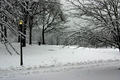 Washington Wonderland