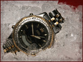 Frozen in Time