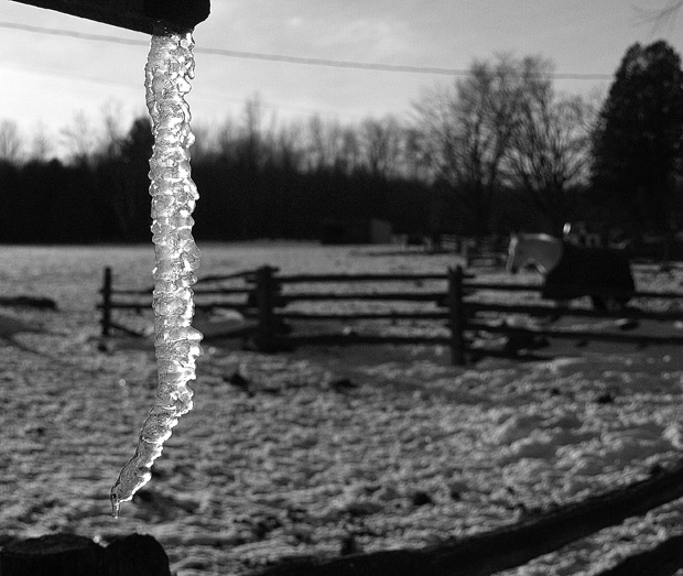 Icicle