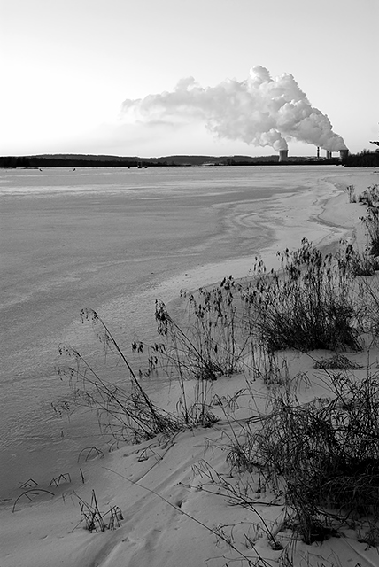 Frozen Shore