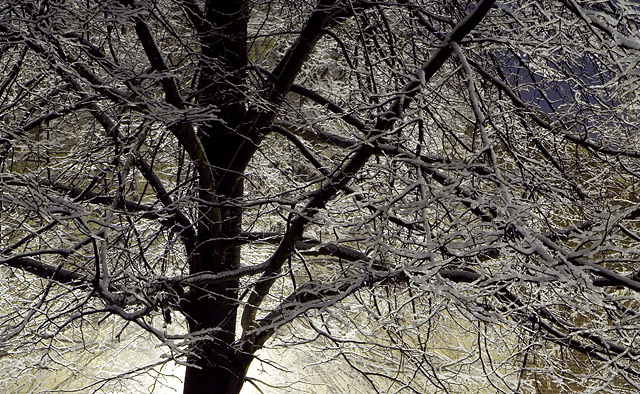 Frozen