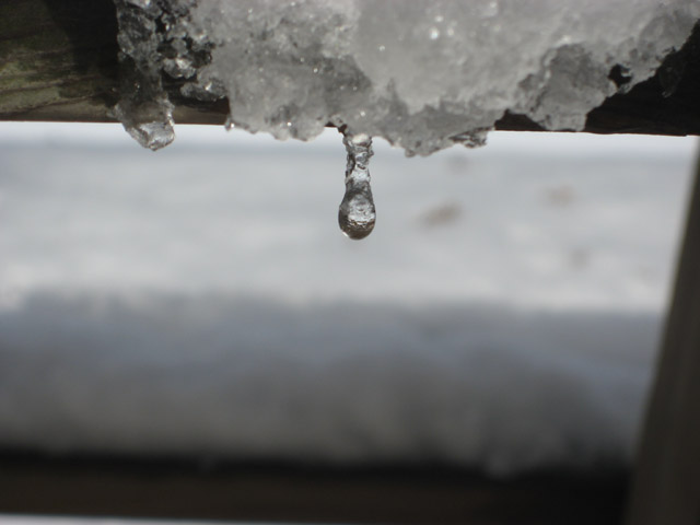 Melting Ice
