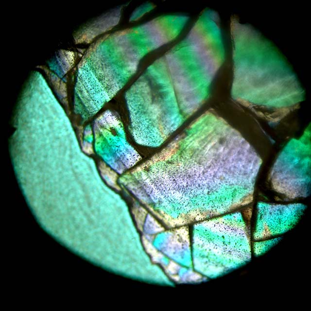 Science is ICE