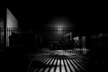 Black Rain