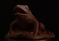 Bufo marinus var. chocolatus (Chocolate Cane Toad)