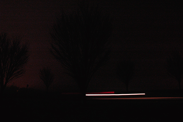 Bare trees & a lone car