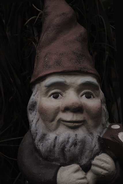 The knome