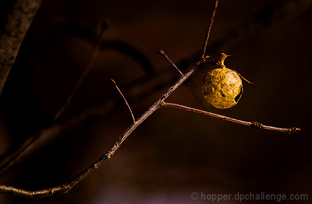 evenings last light