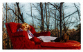Comfy Red Club
