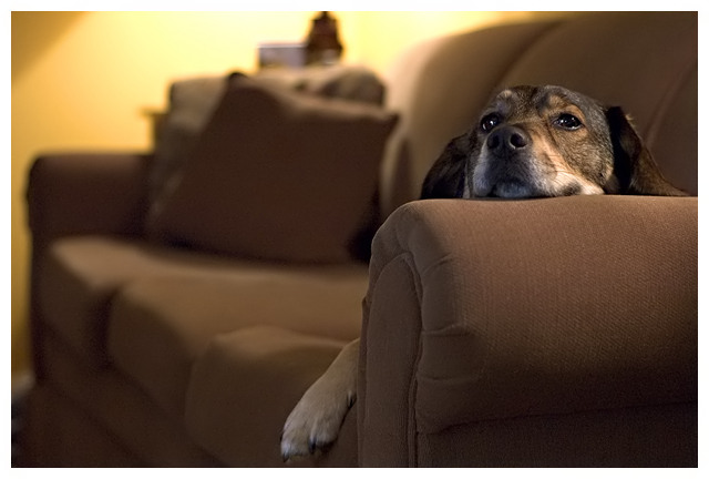 Couch Potato