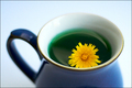 Dandelion Tea