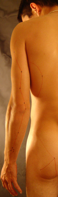 Acupuncture Meridian