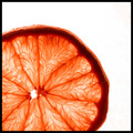 grapefruit