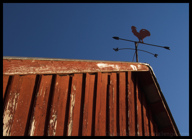 Weathered Barn