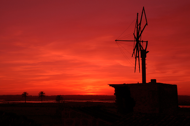 The old windmill