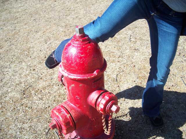 What!? This is a Fire Hydrant?!