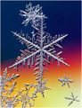 Snowflake Melee