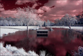 Lake Infrared