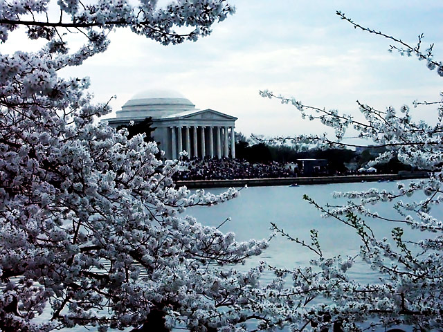 The Jefferson Memorial