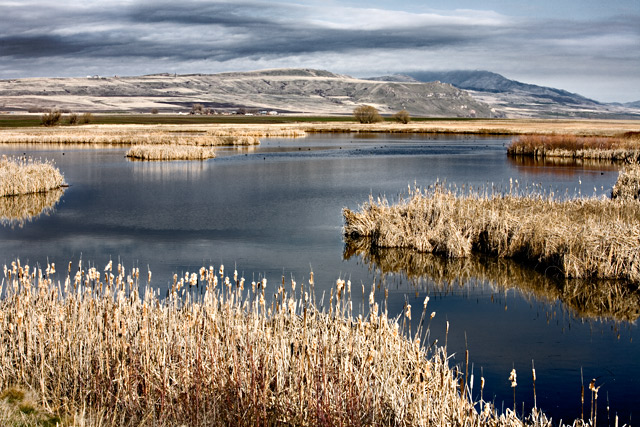 Bear River Valley