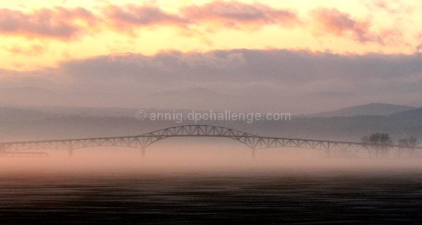In  the Mist
