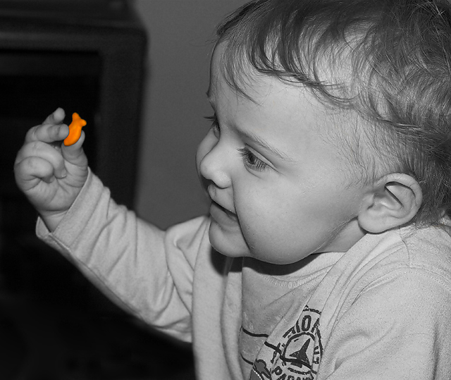 Dylan And The Goldfish