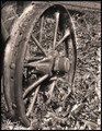 Old Farm Wheel