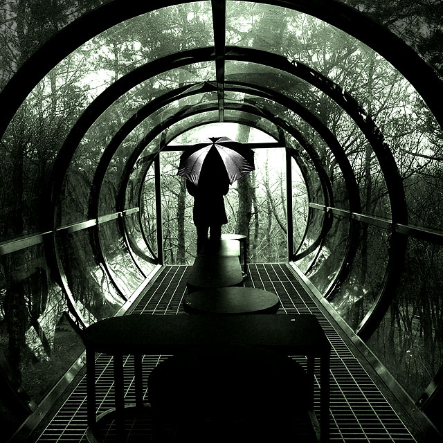 One Rainy Day