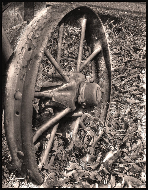 Old Farm Wheel