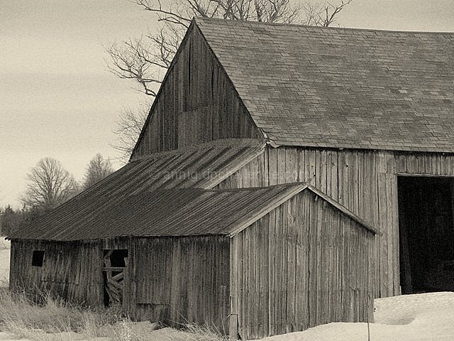 Vermont Rustic