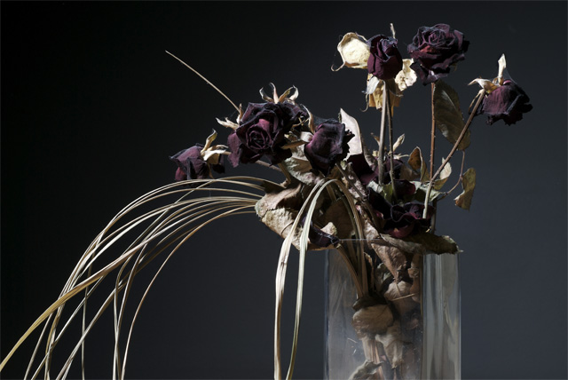 Withered by Time