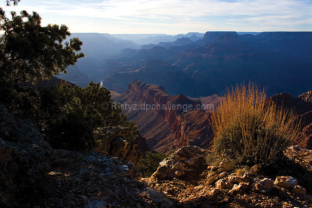 Geologic Timescape