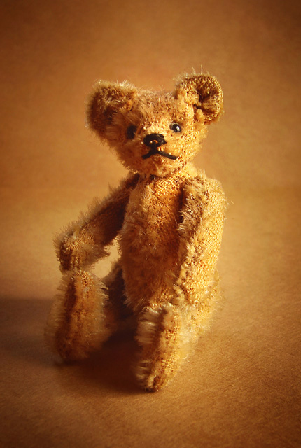 Portrait of a Toy