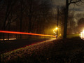 Night Light